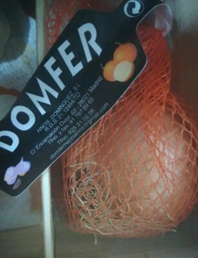 Cebolla domfer