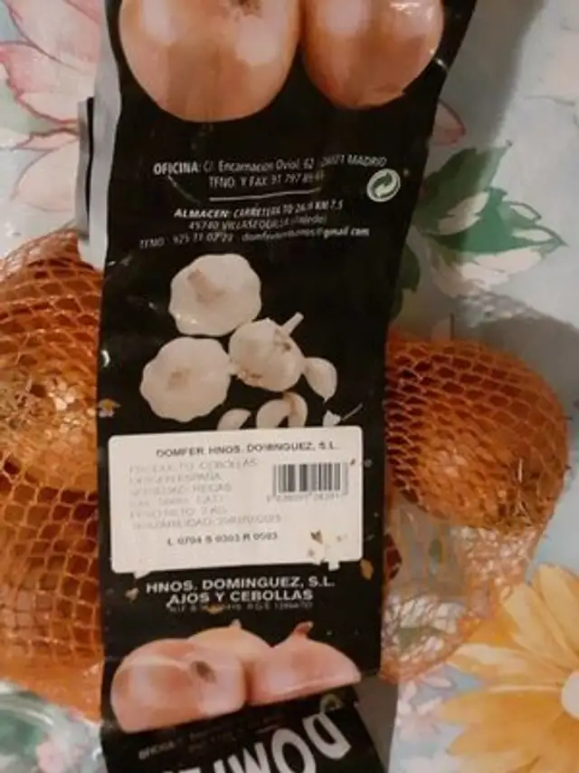 Cebolla
