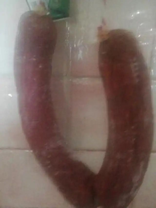 Chorizo
