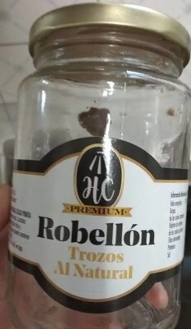 Robellón