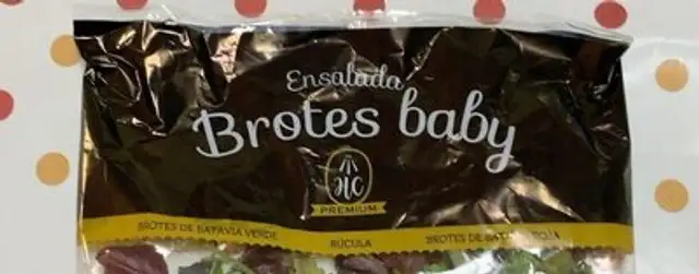 Brotes baby