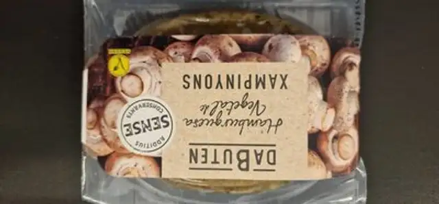 Hamburguesa Vegetal de Xampinyons