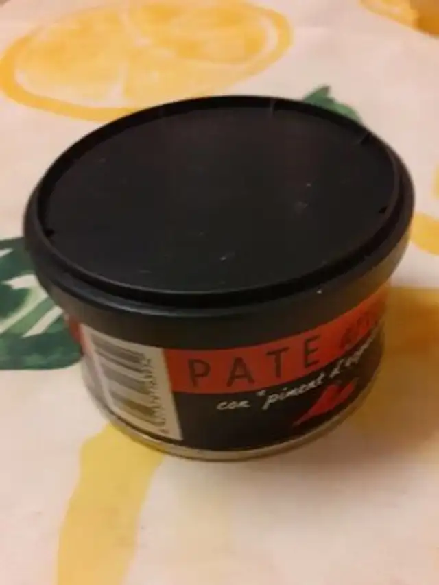 PATE artesano