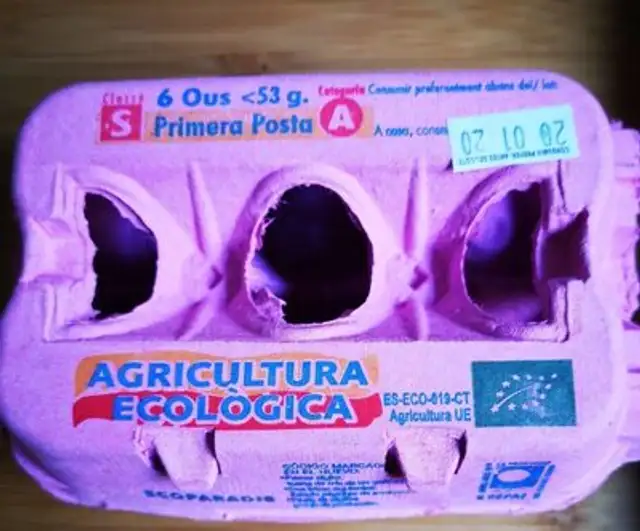 Huevos