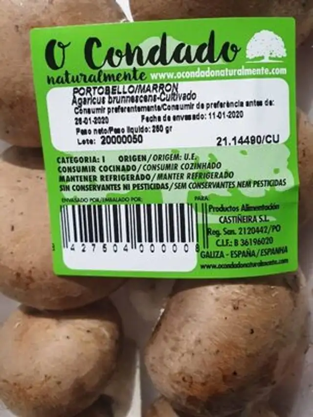 Champiñon portobelo