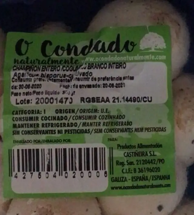 Chapiñon bandeja 300gr