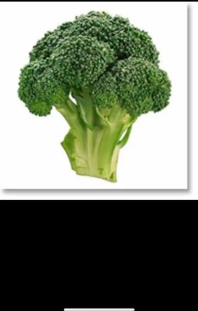 Brocoli Origine Espagne