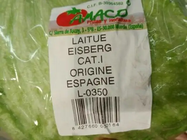 Laitue eisberg