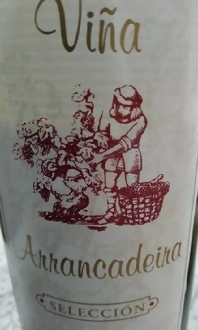 Vino tinto