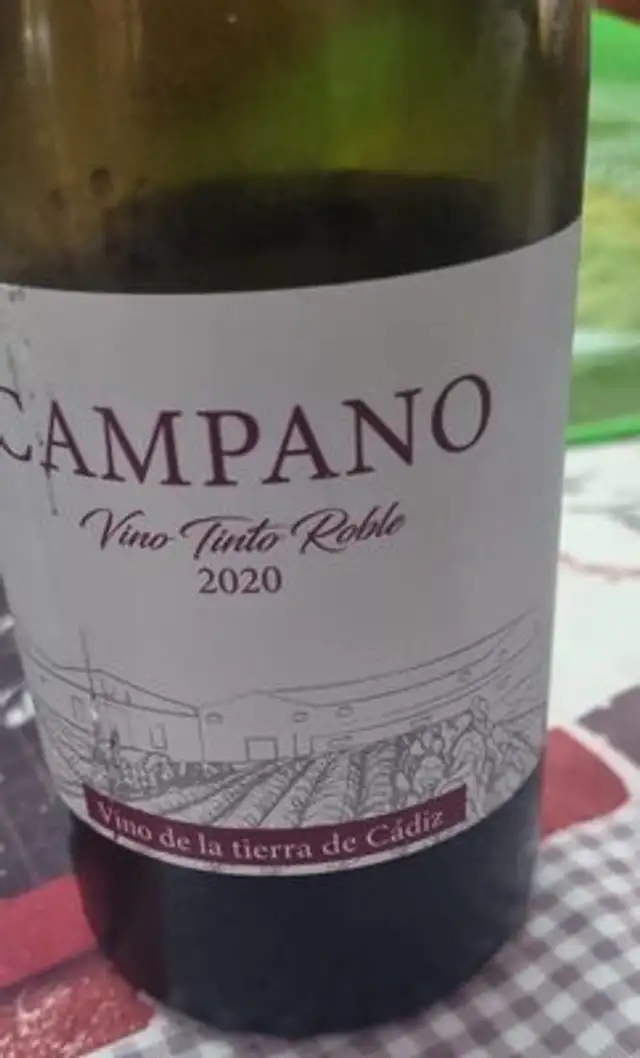 Campano
