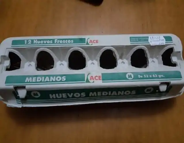 12 huevos frescos