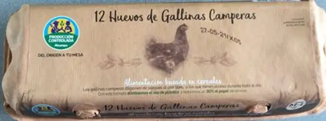 12 huevos de gallinas camperas