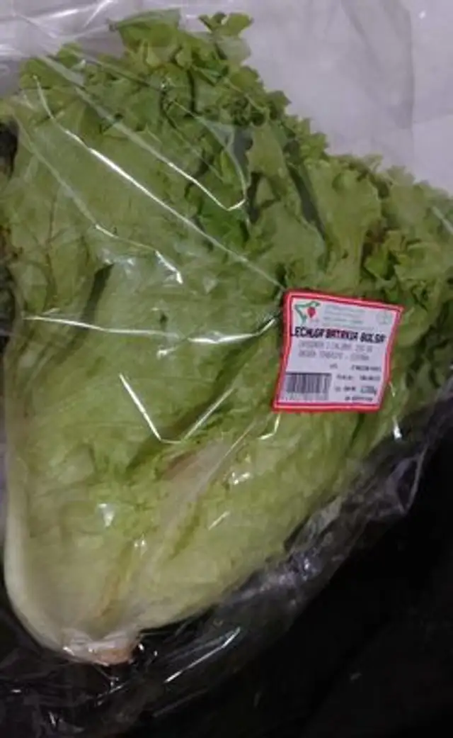 Lechuga batavia