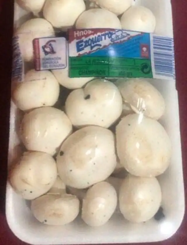Champiñones