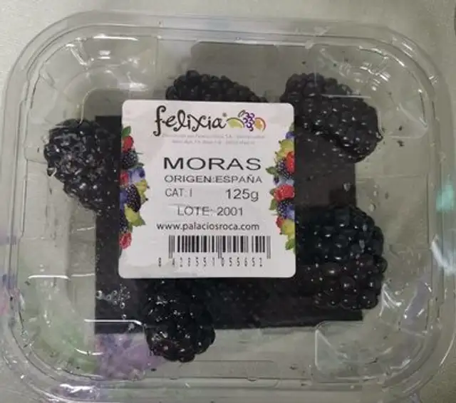 Moras felixia