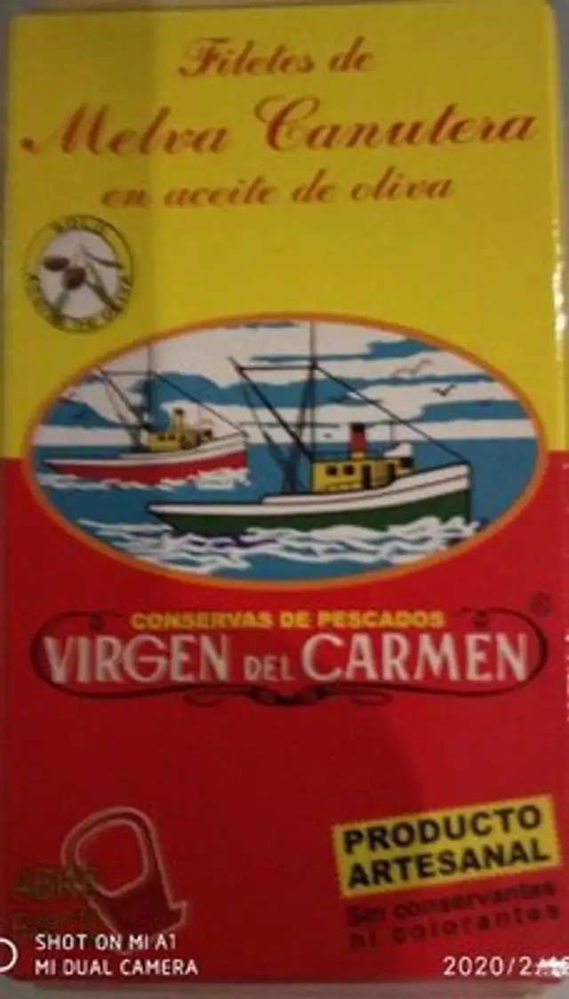 Filetes de Melva Canutera en aceite de oliva