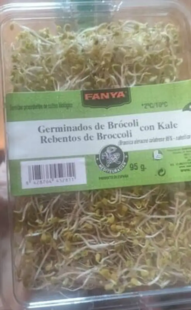 Germinados de broculi tarrina