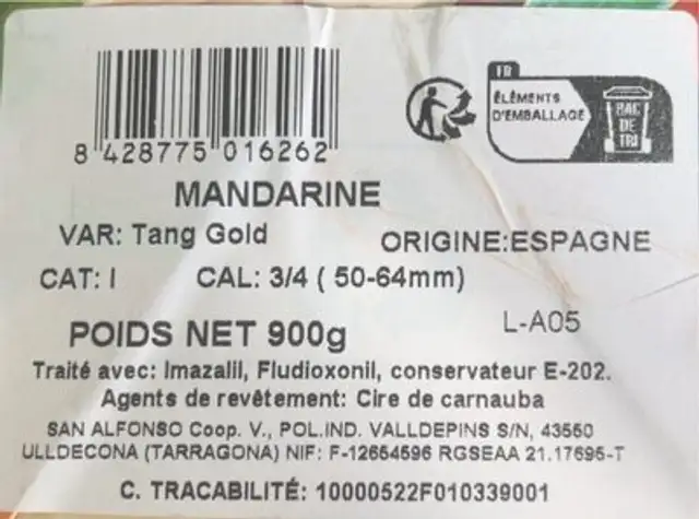 Mandarine Tang Gold