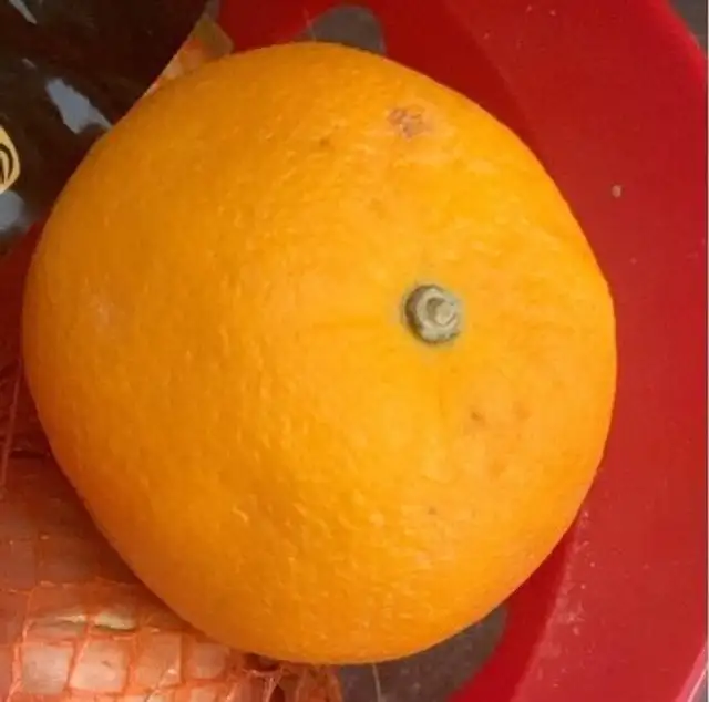 Orange