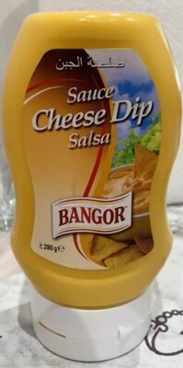 Sauce Cheese Dip Salsa