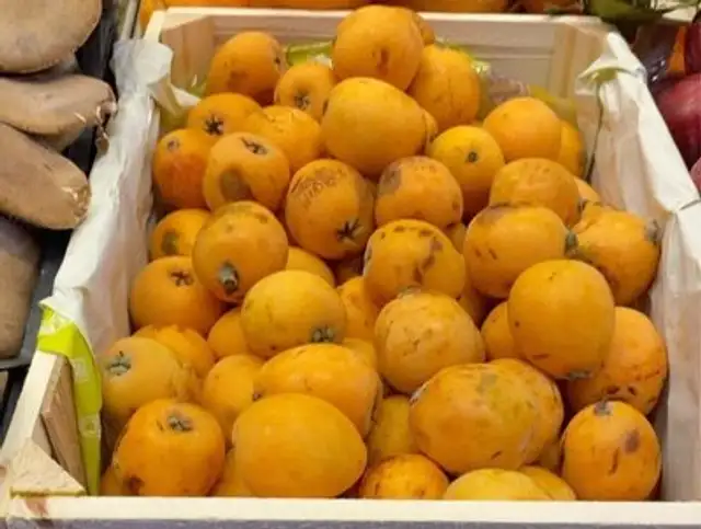 Nespole