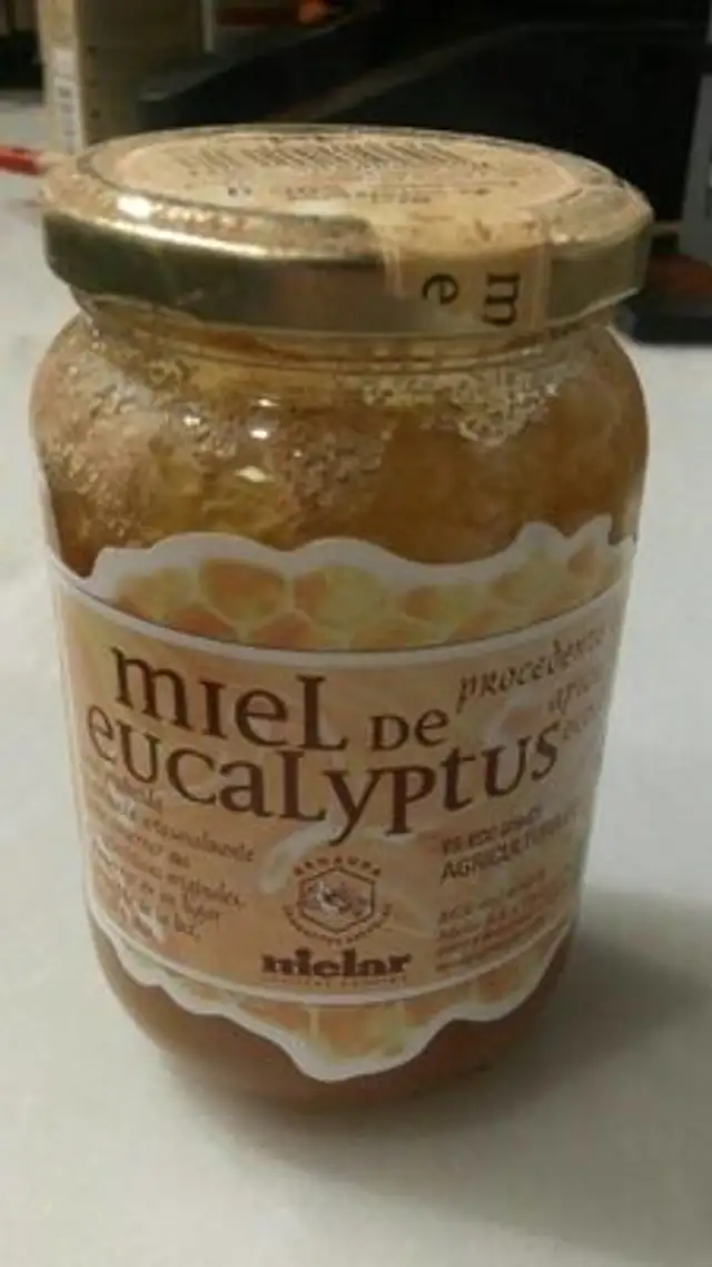 Miel de Eucalipto