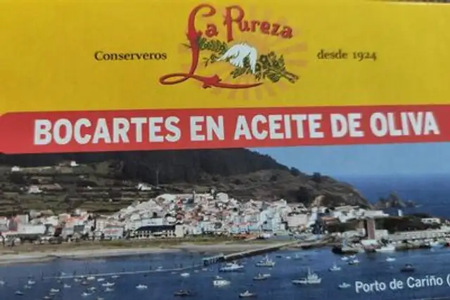 Bocartes en aceite de oliva