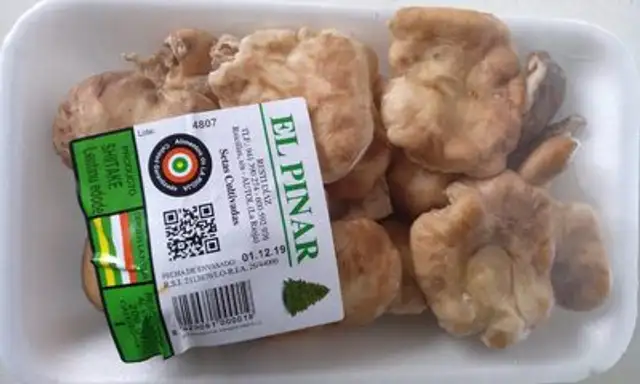Setas Cultivadas