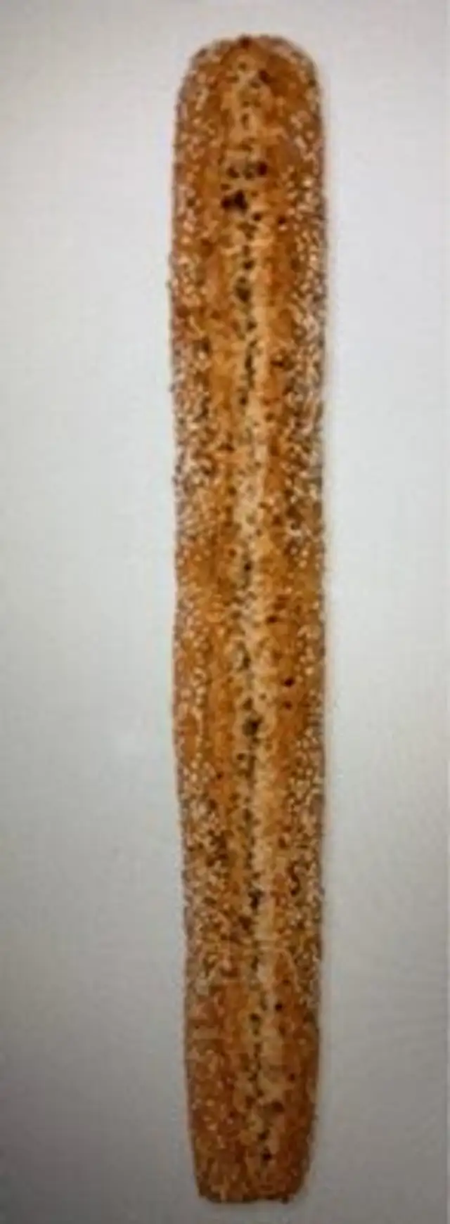 Palitos dd semillas
