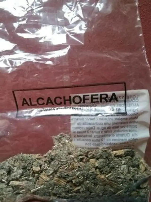 Alcachofera