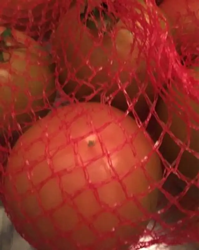 Tomate