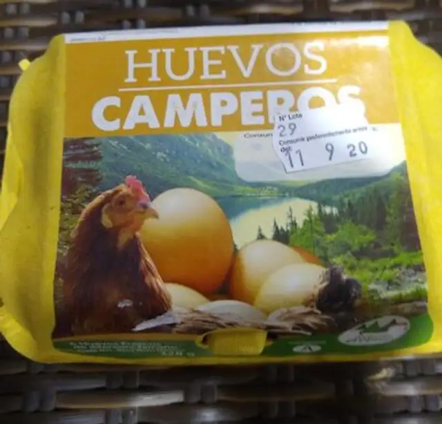 Huevos Camperos