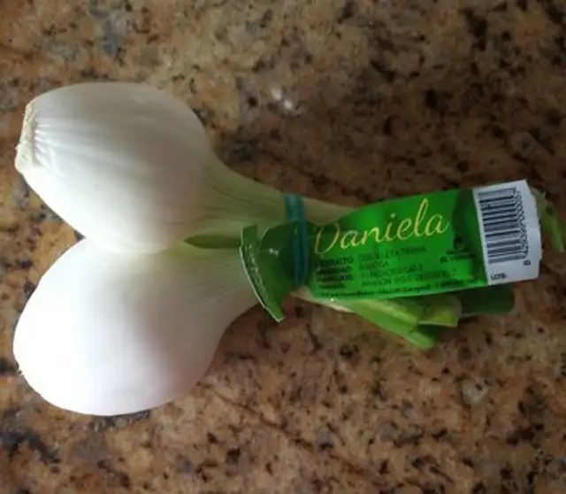 Cebolleta Tierna