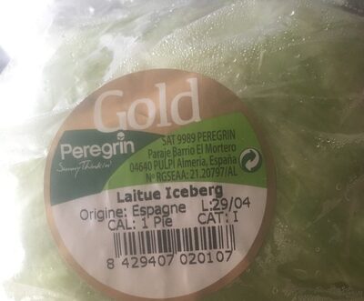 Salade, Variété Iceberg