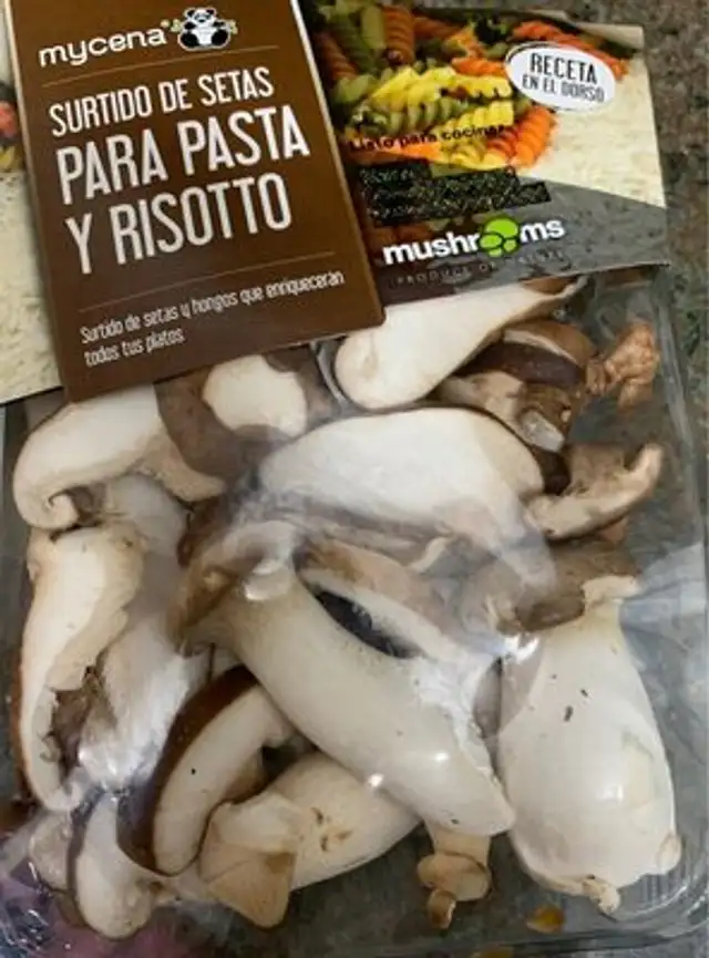 Surtido de setas para pasta y risotto