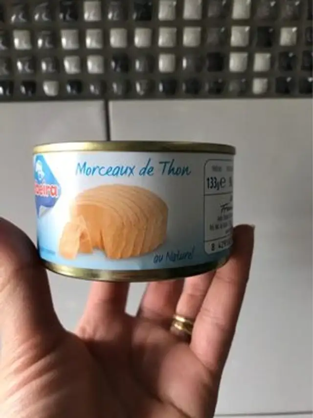 Thon naturel en morceaux