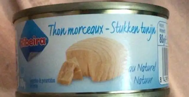 Thon Morceaux
