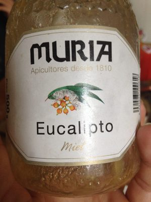 Miel Eucalipto Murita