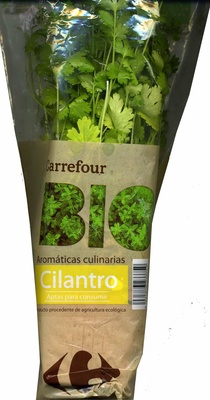 Maceta de cilantro