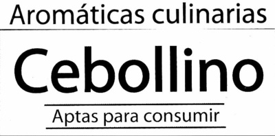 Maceta de cebollino ingredients label