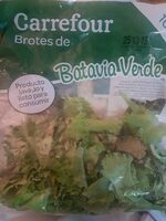 Brotes de Batavia verde
