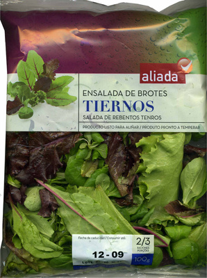 Ensalada de brotes tiernos