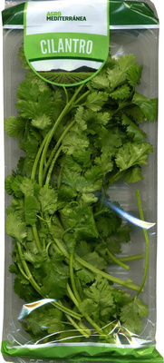 Hojas de cilantro fresco