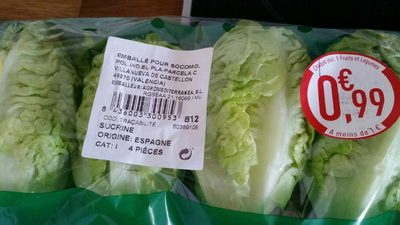 Sucrine salade Espagne