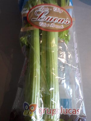 Céleri branche front packaging