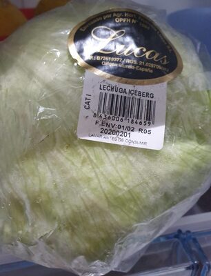 Lechuga iceberg