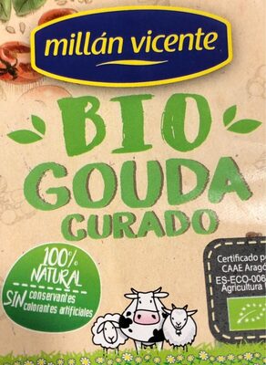 Bio gouda curado