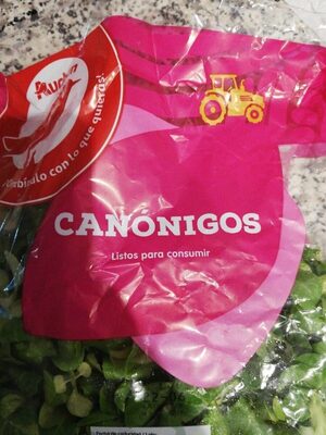 Canónigos