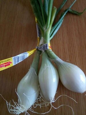 Cebolla tierna en manojo front packaging