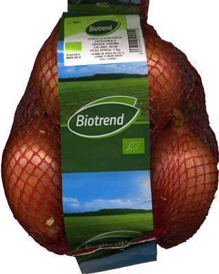 Cebollas ecológicas